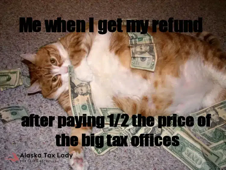 Cat lying in dollar bills: Me when I get my refund after paying half the price of the big tax offices