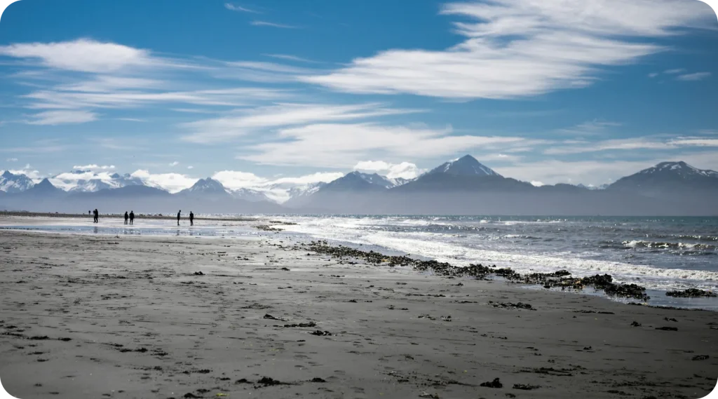 People walking a wide Alaskan beach with snow-capped mountains across the inlet