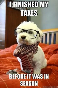 Dog in glasses and a scarf: I finished my taxes before it was in season